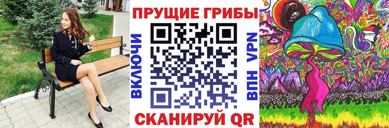 купить   Ясногорск  Псилоцибиновые грибы Psilocybine cubensis 